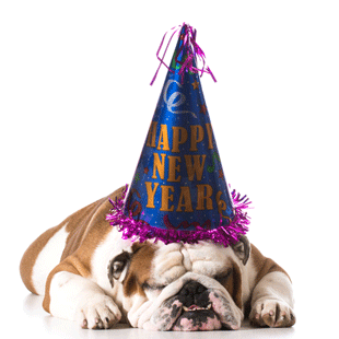 Giv hunden god nytårs aften – Hundensgaard